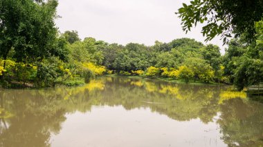 Kamu parkında küçük temiz bir göl, yeşillik ve sarı yapraklar ağaçlar, çalılar, yeşil çimenler bakımlı manzaralar, beyaz bulutların altında gökyüzü