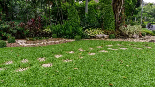 Césped Hierba Verde Jardín Con Patrón Aleatorio Pasarela Hormigón Paso — Foto de Stock