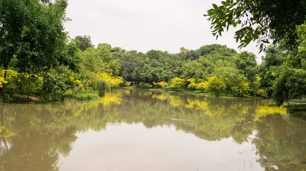 A small clean lake in public park, greenery and yellow leaves trees, shrub and bush, green grass lawn in a good care maintenance landscapes, under white clouds sky