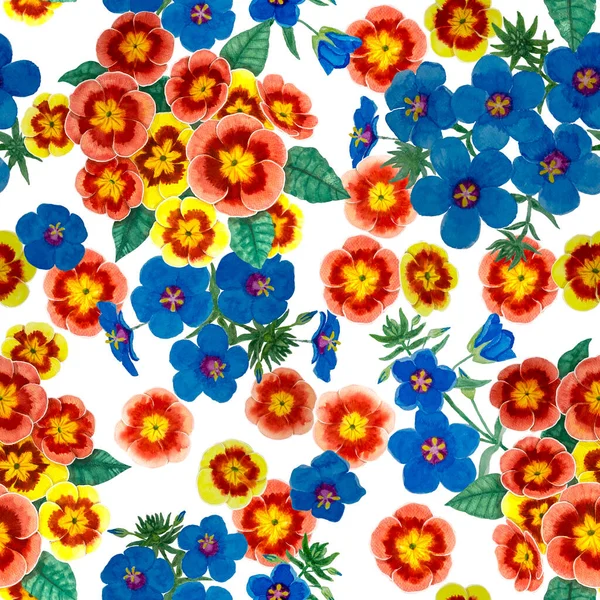 Orange Pimpernel Und Blaue Scharlachrote Blume Blühen Auf Weißem Hintergrund — Stockfoto
