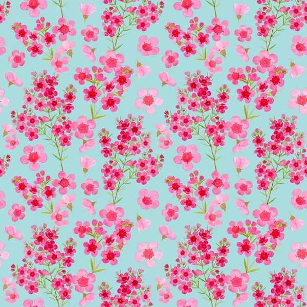 Balmumu Çiçeğinin Pembe Yaprakları Pürüzsüz Desen Çizimi Suluboya Flora Resmi — Stok fotoğraf