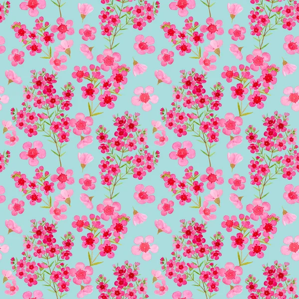 Balmumu çiçeğinin pembe yaprakları pürüzsüz desen çizimi, suluboya flora resmi pastel yeşil arka planda izole edilmiş.