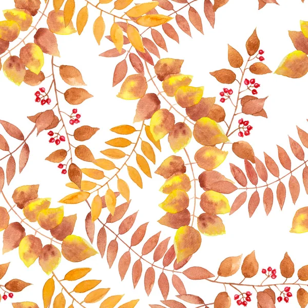 棕色秋天的叶子 浆果水果无缝重复图案白色背景 分枝植物水彩画时尚面料纺织品和墙纸包装 — 图库照片