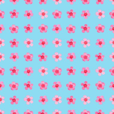 Balmumu çiçeğinin pembe taç yaprakları dikişsiz desen çizimi, pastel mavi arka planda suluboya flora resmi moda kumaşları baskısı ve duvar kağıdı ambalajı.