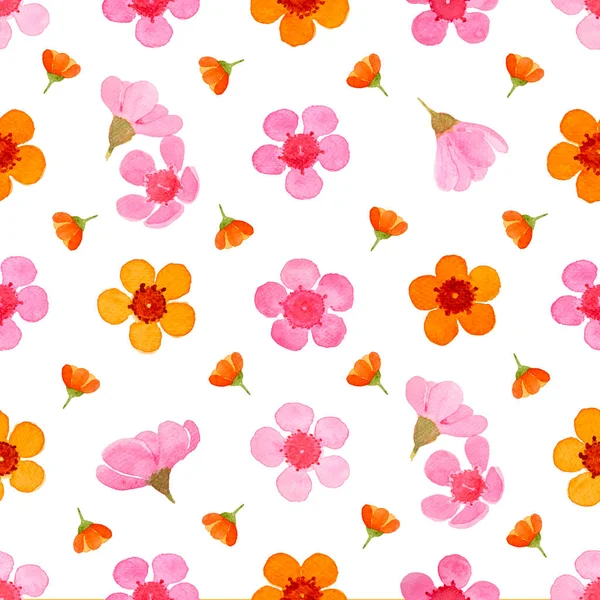 Pink Orange Petals Wax Flower Blossom Seamless Pattern Illustration Watercolor — Stock Photo, Image