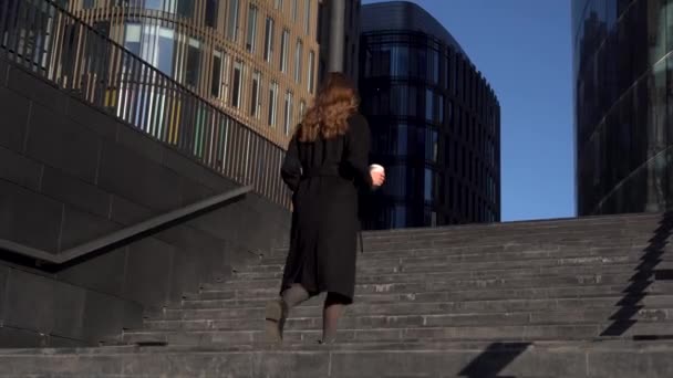 Young Business Woman Going Up The Stairs Back View — 비디오