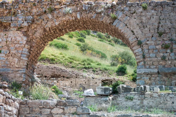 Ephesus (Antik Yunan şehir)