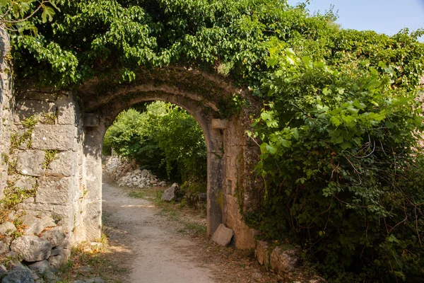 Rovigno is a city in Croatia situated on the north Adriatic Sea — Stock Photo, Image