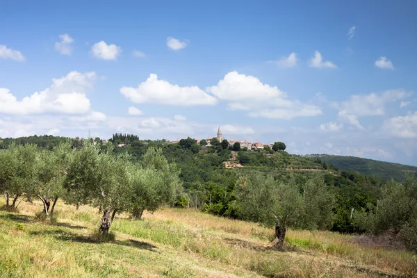 Groznjan (İtalyanca: Grisignana)