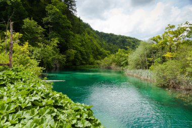 Plitvice Gölleri Ulusal Parkı