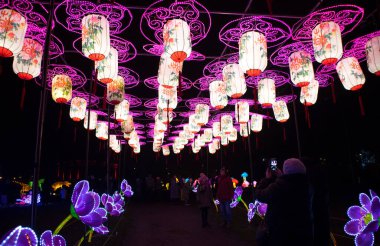 Tallinn, Harjumaa- Estonya-21DEC2019: Tallinn Lauluvljak bölgesinde 2019 kışında gezici Işık Festivali. Lider ışıklarla aydınlatılmış bir sürü ipek heykel.