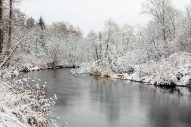 Taze karla kaplı ağaçlarla çevrili, kışın akan nehir suyunun uzun kepenk fotografı. Estonya 'daki Keila Nehri.