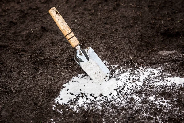 Jardinero Mezclando Polvo Piedra Caliza Dolomítica Suelo Del Jardín Para — Foto de Stock