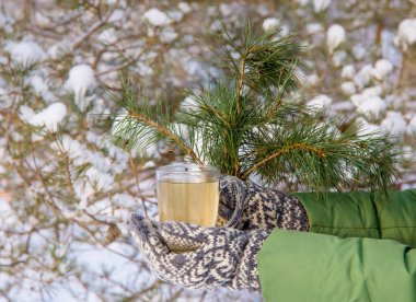 Şeffaf cam çay fincanında çam ağacı iğnesi çayı karışımı. Elinde klasik eldiven tutan biri. Arka planda karlı çam ağacı, soğuk kış gününde açık havada.
