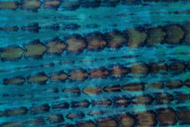  Çok renkli, yeşil, siyah tekstil kravat boyası arka plan. Shibori desen kavramı.