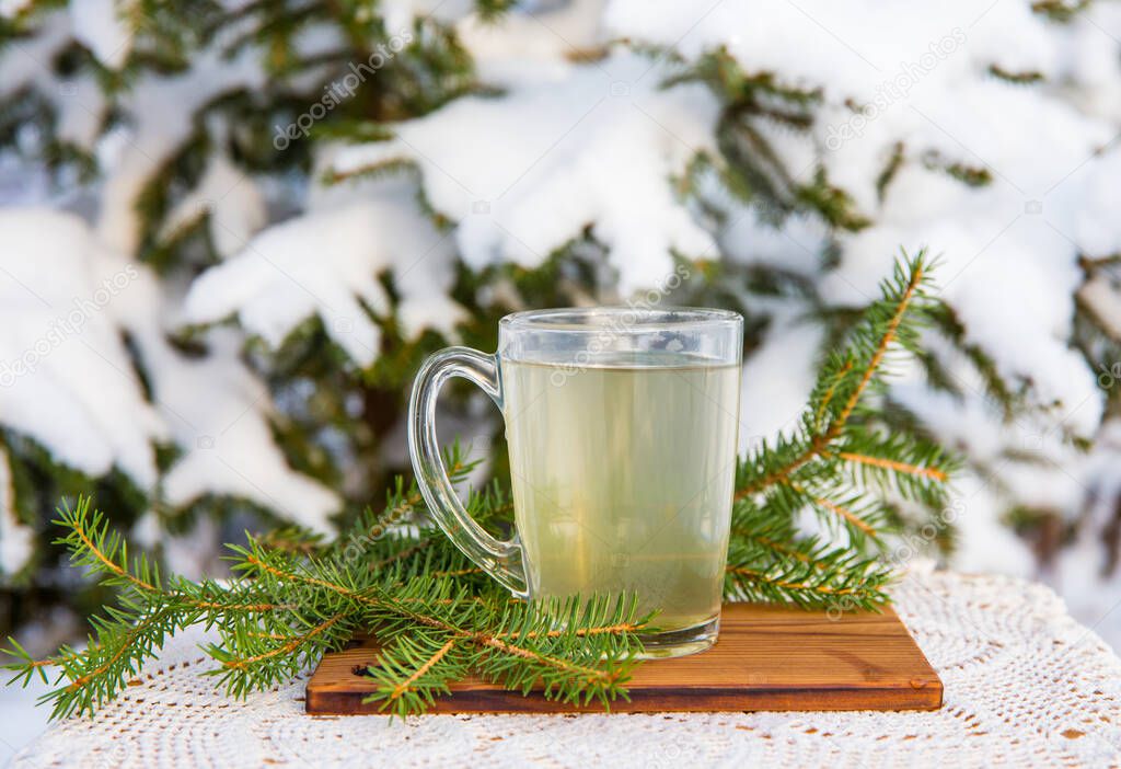 Spruce tree needle tea infusion in transparent glass tea cup. Snowy blurred spruce tree on background, outdoors on cold winter day. Room for text.