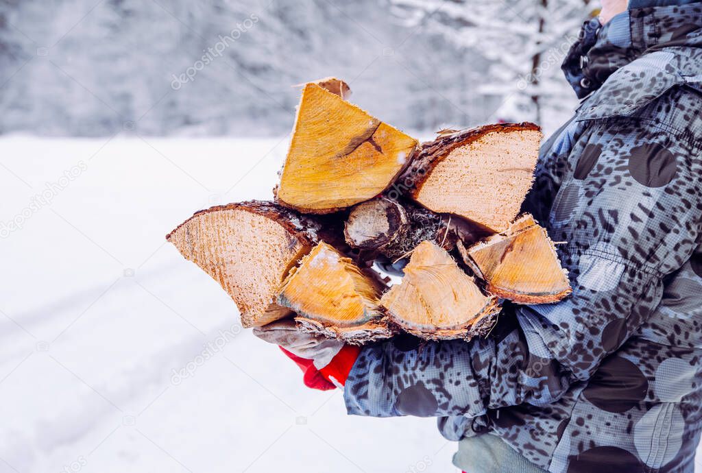 Detail of a woman carrying pile of firewood on her lap in winter outdoors, rural nature. Nordic winter lifestyle concept.