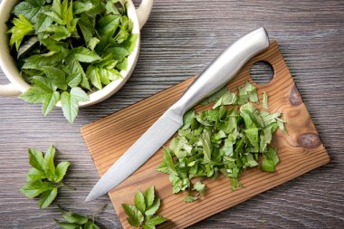 İlkbaharda taze gutweed yapraklarını yemek için kullanırlar. Aegopodyum podagraria genellikle yaşlı olarak bilinir, ot gerard, piskopos otu, gut otu. Kesme tahtasındaki yapraklar. Üst manzara, stüdyo çekimi..