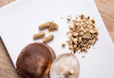 Shiitake Lentinus edoides mantar takviyesi kapsülleri taze Shiitake mantarları ve beyaz arka planda pudralanmış. Düz görünüm.