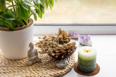 Jericho 'lu Rose, Selaginella lepidophylla ayrıca Diriliş Bitkisi olarak da adlandırılır. Su kasesinin içinde, mum ve kristallerle süslenmiş..