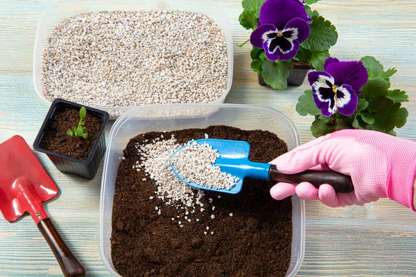 Mixing Perlite Granules Pellets Black Gardening Soil Improves Water Retention — Stock Photo, Image