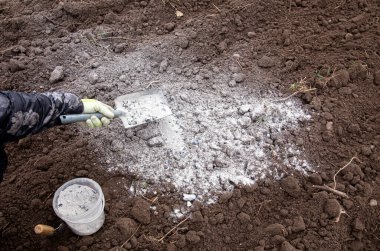  Bahçıvan ağaç tozu karıştırarak toprağı gübrelemek ve bitkiler için besin sağlamak için kara toprağı yakıyor.. 