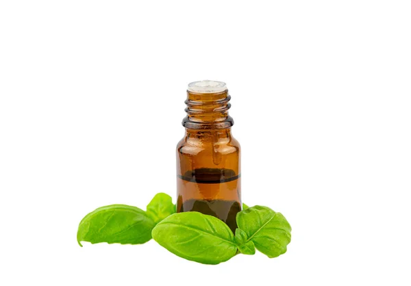 Basil Ocimum Basilicum Essential Oil Bottle Green Basil Leaf Next — Stock Photo, Image