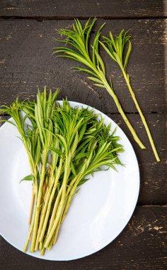 Yeşil Willowhere 'in düz yatağı ya da ateş otu Chamaenerion angustifolium olarak bilinir ilkbaharda onlarla yemek yapmak için yapılan mutfak hazırlıklarında taze kökler. Boşluğu kopyala.