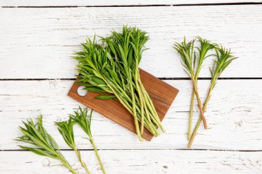 Yeşil Willowhere 'in üstünde ya da ateş yosunu olarak bilinir. Chamaenerion angustifolium. Bahar mevsiminde taze kökler..