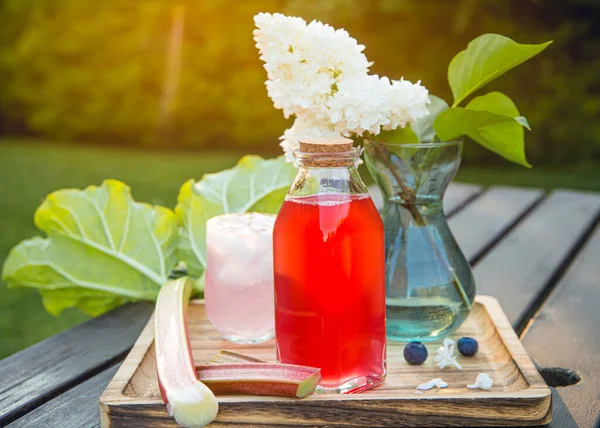 Domácí Rebarborový Sirup Rheum Rhabarbarum Pěkný Růžový Tekutý Sirup Láhvi — Stock fotografie