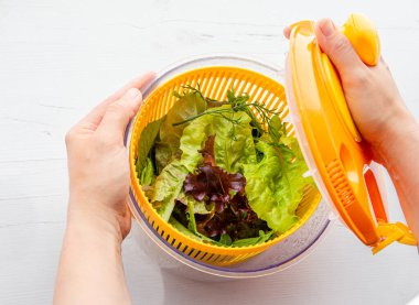 Top view of woman hands holding and drying salad in spinner tool bowl, healthy leafy greens inside. Comfortable way for washing and drying salad leaves. clipart