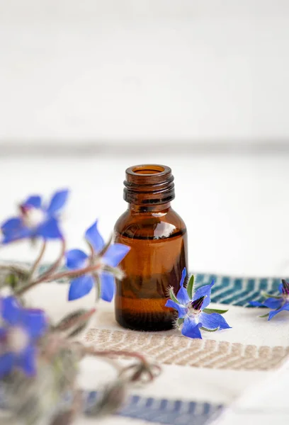 Borago Officinalis Borago Borragem Garrafa Óleo Com Flores Frescas Espalhadas — Fotografia de Stock