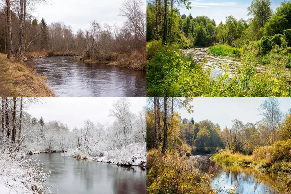 Vackert Collage Säsonger Olika Bilder Men Samma Plats Flod Vildmarken — Stockfoto