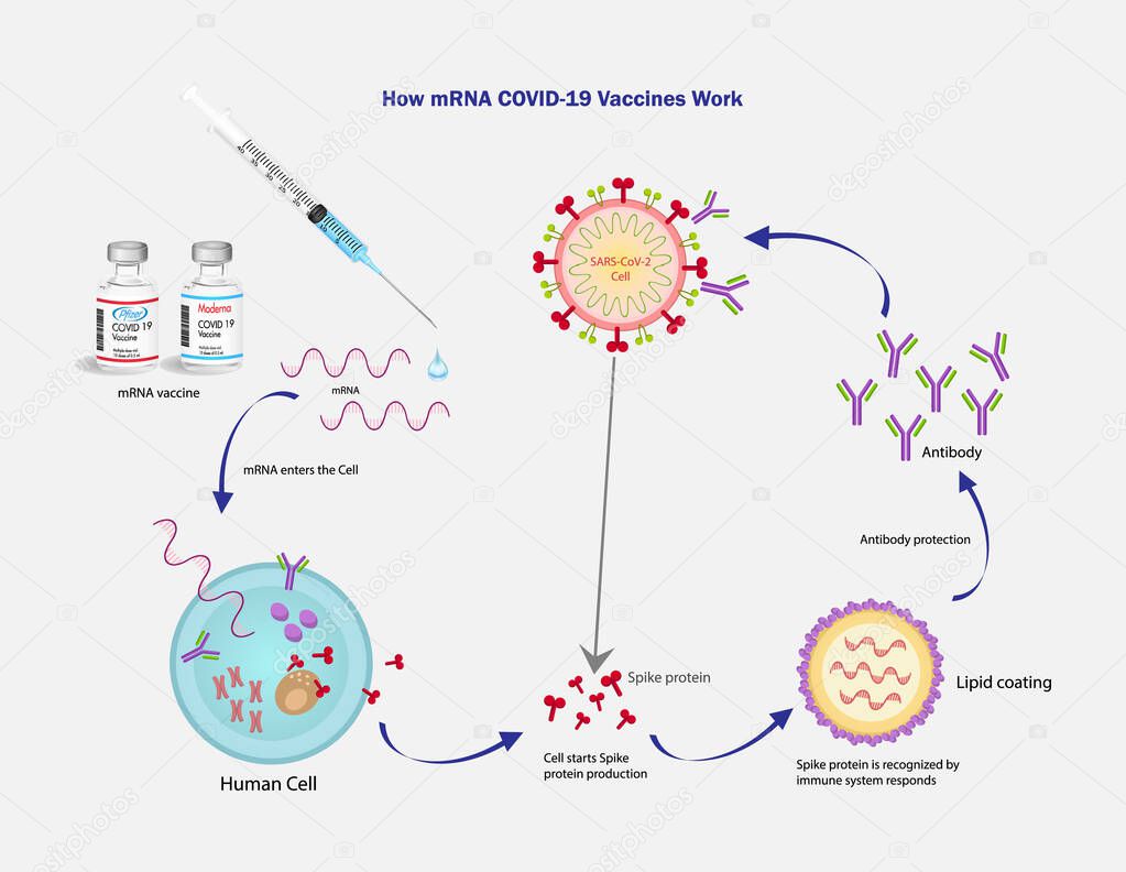 mRNA Vaccine SARS-Cov-2 vector texture.