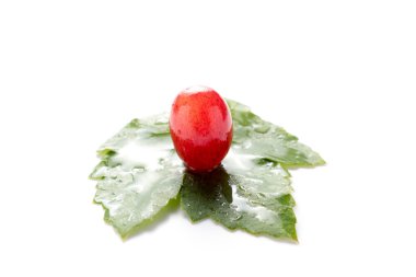 Olgun taze kırmızı üzüm beyaz arka plan üzerinde yaprakları ile