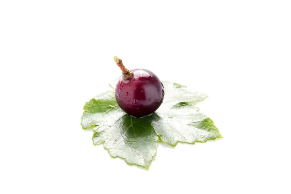 Close up of a red grape with leave on white background — Stock Photo, Image