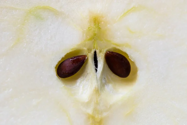 Close up de sementes de maçã — Fotografia de Stock