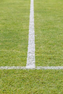 Yeşil futbol sahasında beyaz şerit.