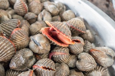 Taze kabuklu deniz ürünleri kan daraltan pazarında Satılık