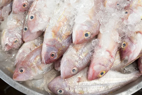 Pescado rojo en hielo para la venta en el mercado, Tailandia —  Fotos de Stock