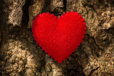 kalp üzerinde ahşap masa, Sevgililer günü