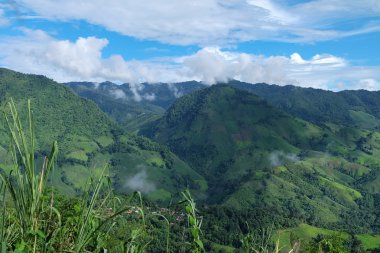 Yeşil tepe ve mavi gökyüzü görünümü