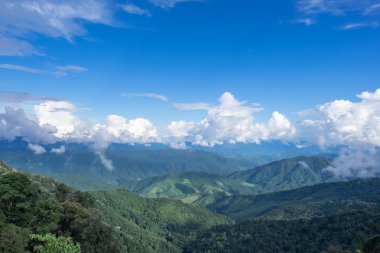 Yeşil tepe ve mavi gökyüzü görünümü