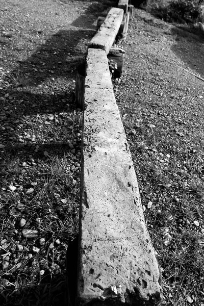 Bir havuzda renkli çiçekler