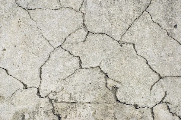 Beton duvar üzerinde çatlaklar ağ