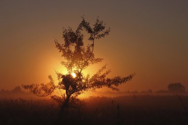 Yaz manzara - günbatımı