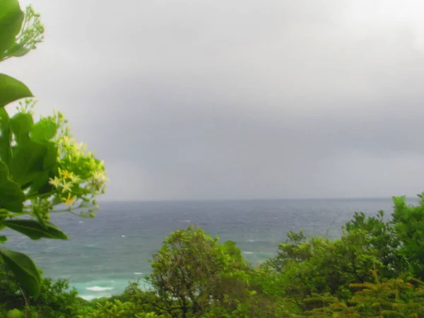 木々の後ろには 嵐の空の下で海と波 — ストック写真