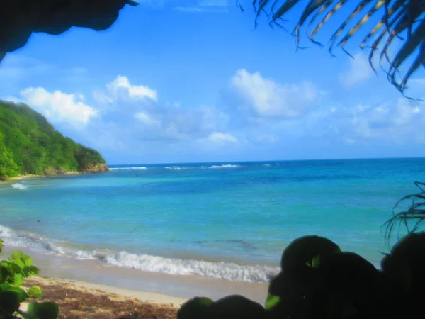 Achter Bomen Een Wit Zandstrand Voor Turquoise Zee — Stockfoto