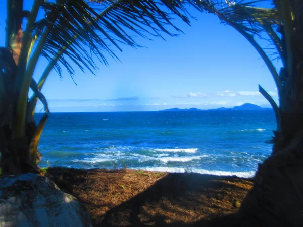 Hinter Den Palmen Das Blaue Meer Und Eine Insel Der — Stockfoto