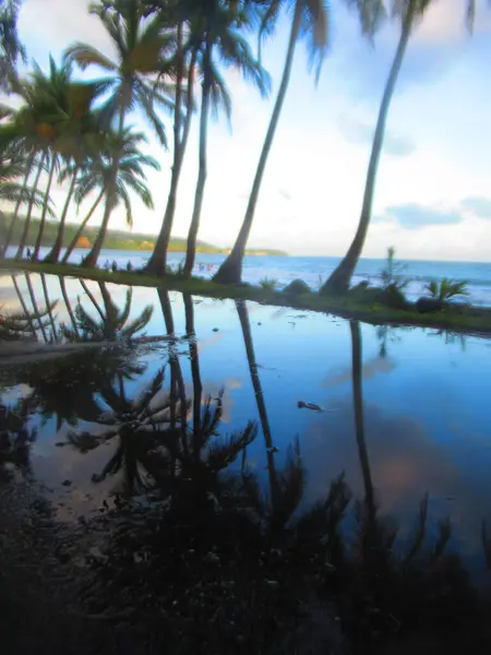 Palmen Spiegeln Sich Einer Pfütze Vor Dem Meer — Stockfoto